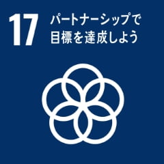 SDGs17-icon